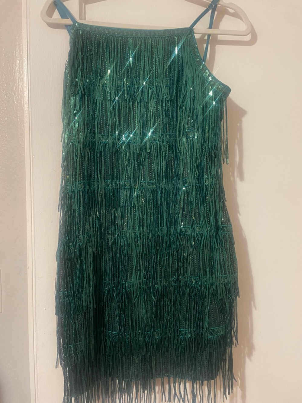 Flapper style fringe dress